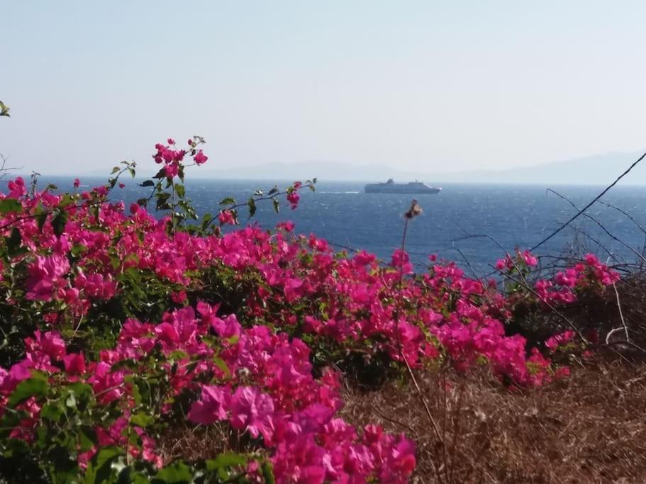 Grandpa Simos' Traditional Guest House Agios Romanos ภายนอก รูปภาพ