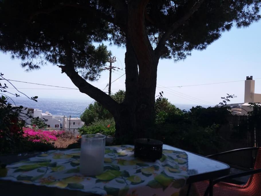 Grandpa Simos' Traditional Guest House Agios Romanos ภายนอก รูปภาพ