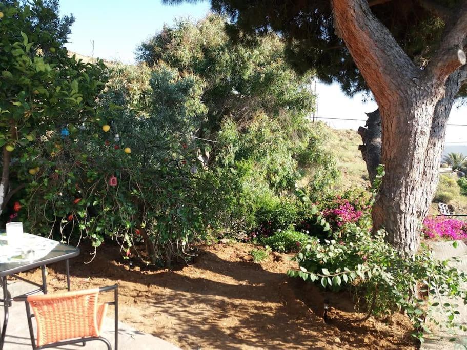 Grandpa Simos' Traditional Guest House Agios Romanos ภายนอก รูปภาพ