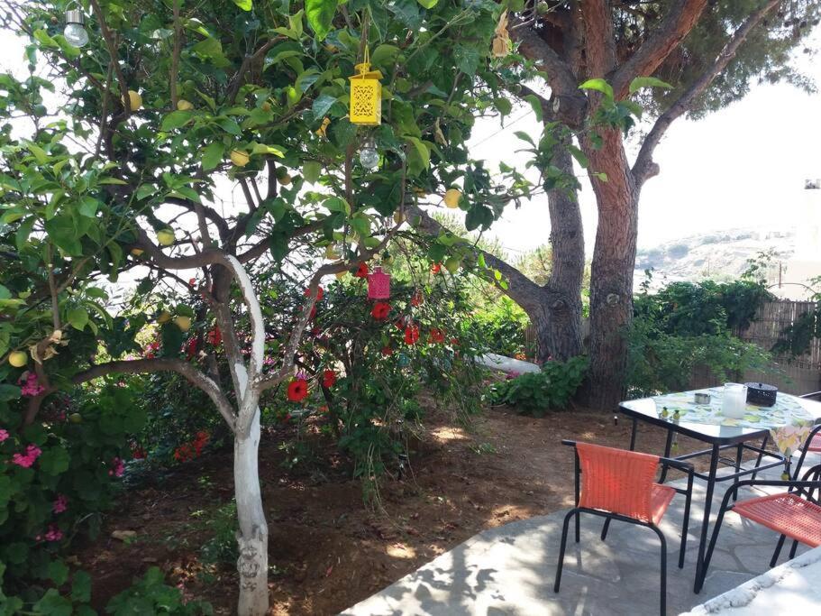 Grandpa Simos' Traditional Guest House Agios Romanos ภายนอก รูปภาพ