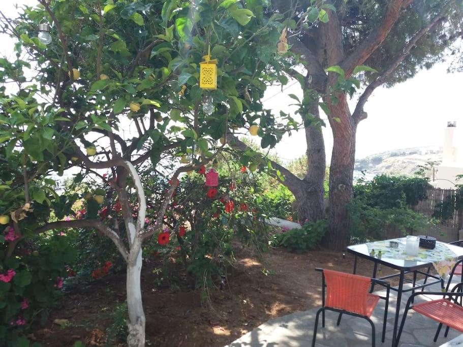Grandpa Simos' Traditional Guest House Agios Romanos ภายนอก รูปภาพ