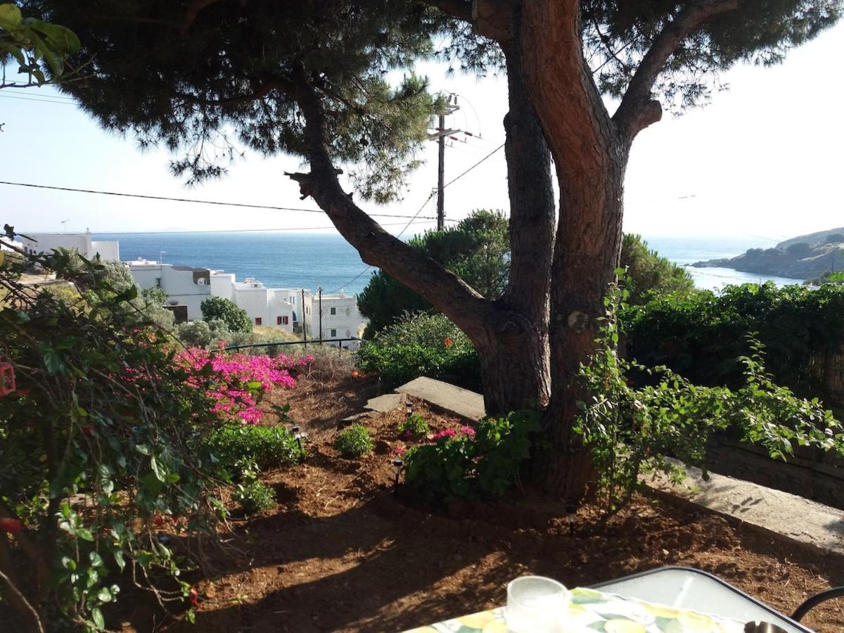 Grandpa Simos' Traditional Guest House Agios Romanos ภายนอก รูปภาพ