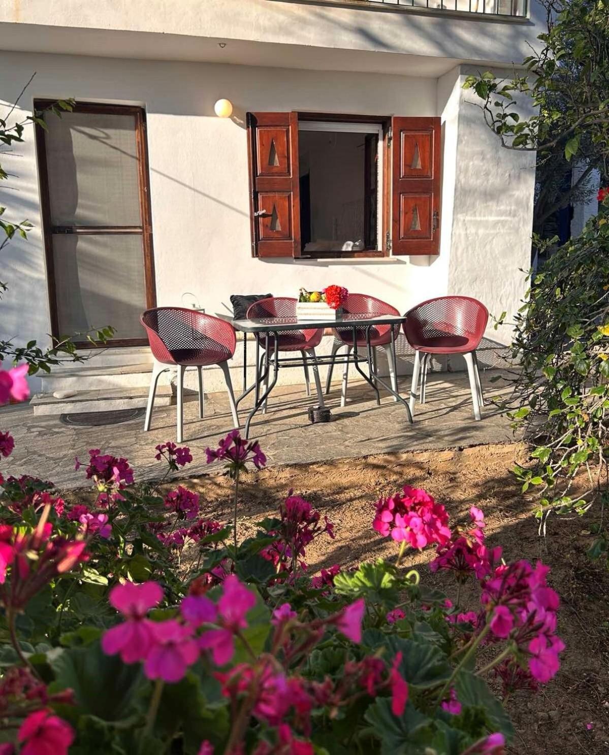 Grandpa Simos' Traditional Guest House Agios Romanos ภายนอก รูปภาพ
