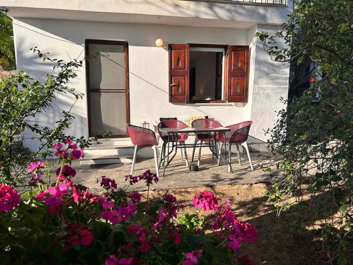 Grandpa Simos' Traditional Guest House Agios Romanos ภายนอก รูปภาพ