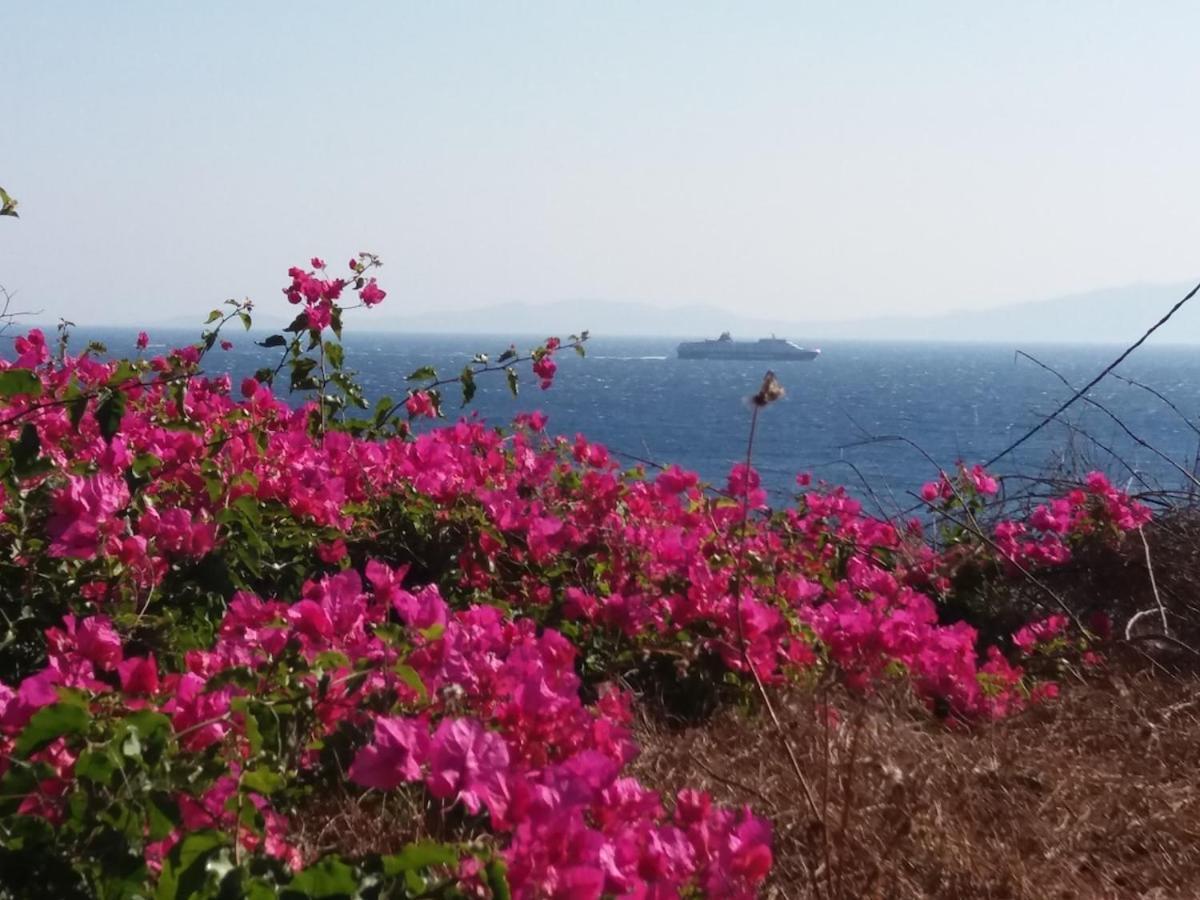 Grandpa Simos' Traditional Guest House Agios Romanos ภายนอก รูปภาพ