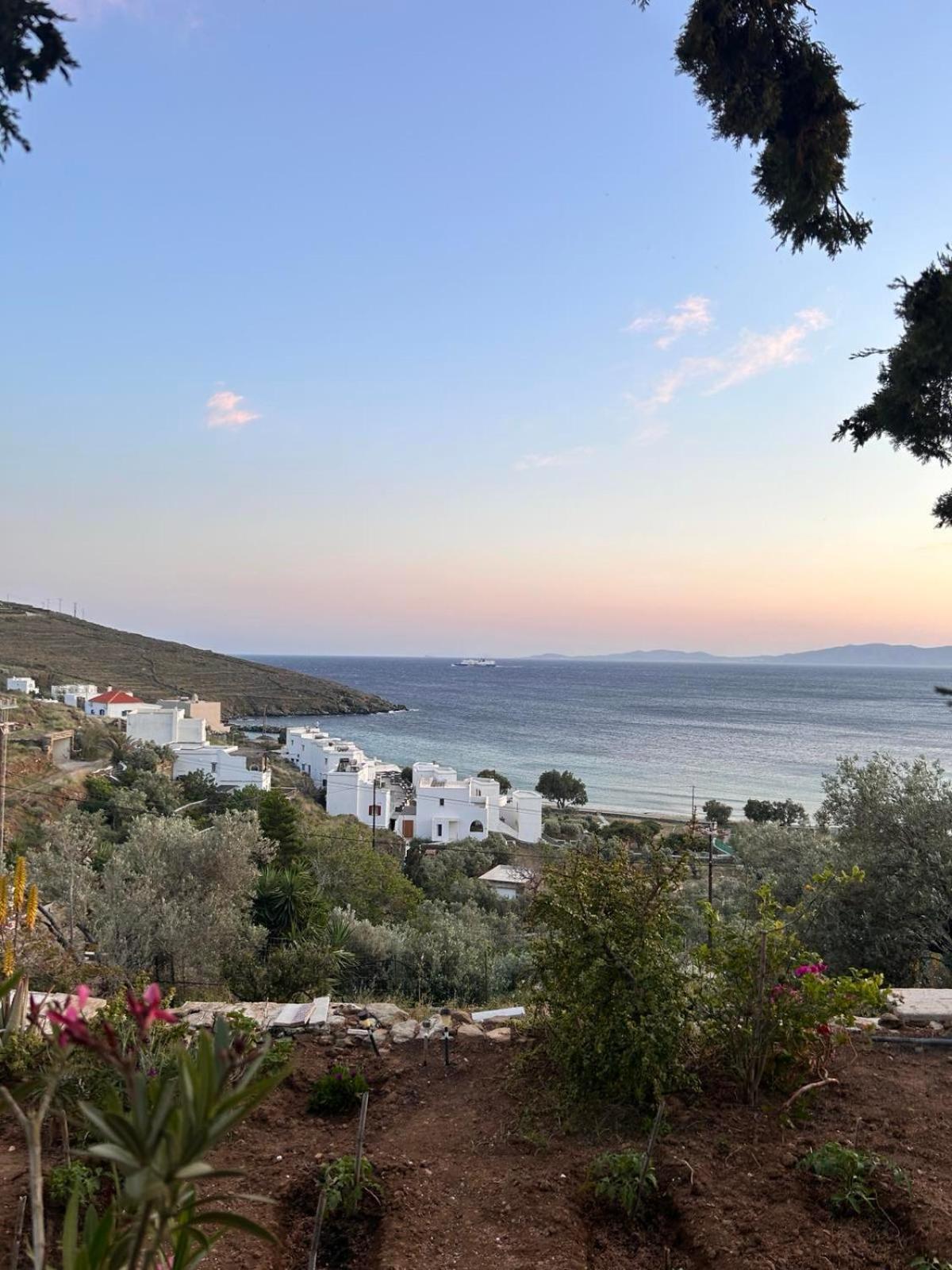 Grandpa Simos' Traditional Guest House Agios Romanos ภายนอก รูปภาพ