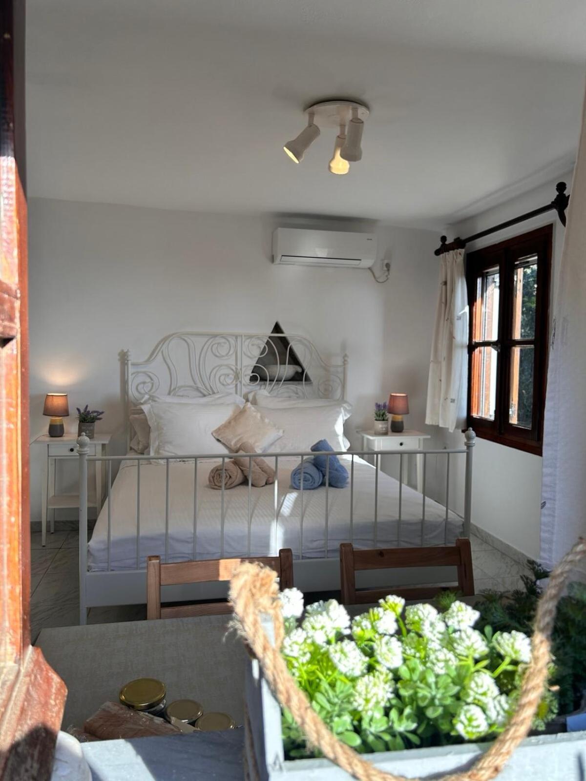 Grandpa Simos' Traditional Guest House Agios Romanos ภายนอก รูปภาพ