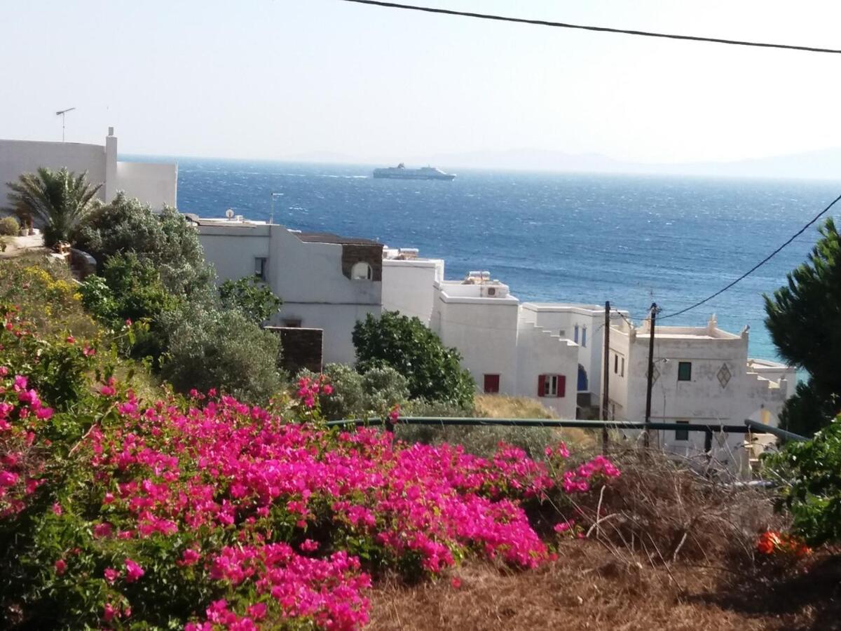 Grandpa Simos' Traditional Guest House Agios Romanos ภายนอก รูปภาพ