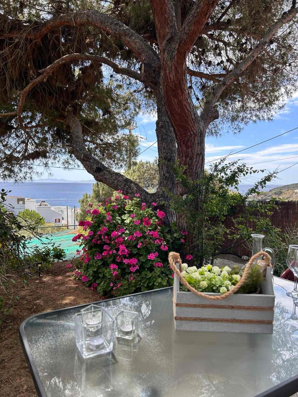 Grandpa Simos' Traditional Guest House Agios Romanos ภายนอก รูปภาพ
