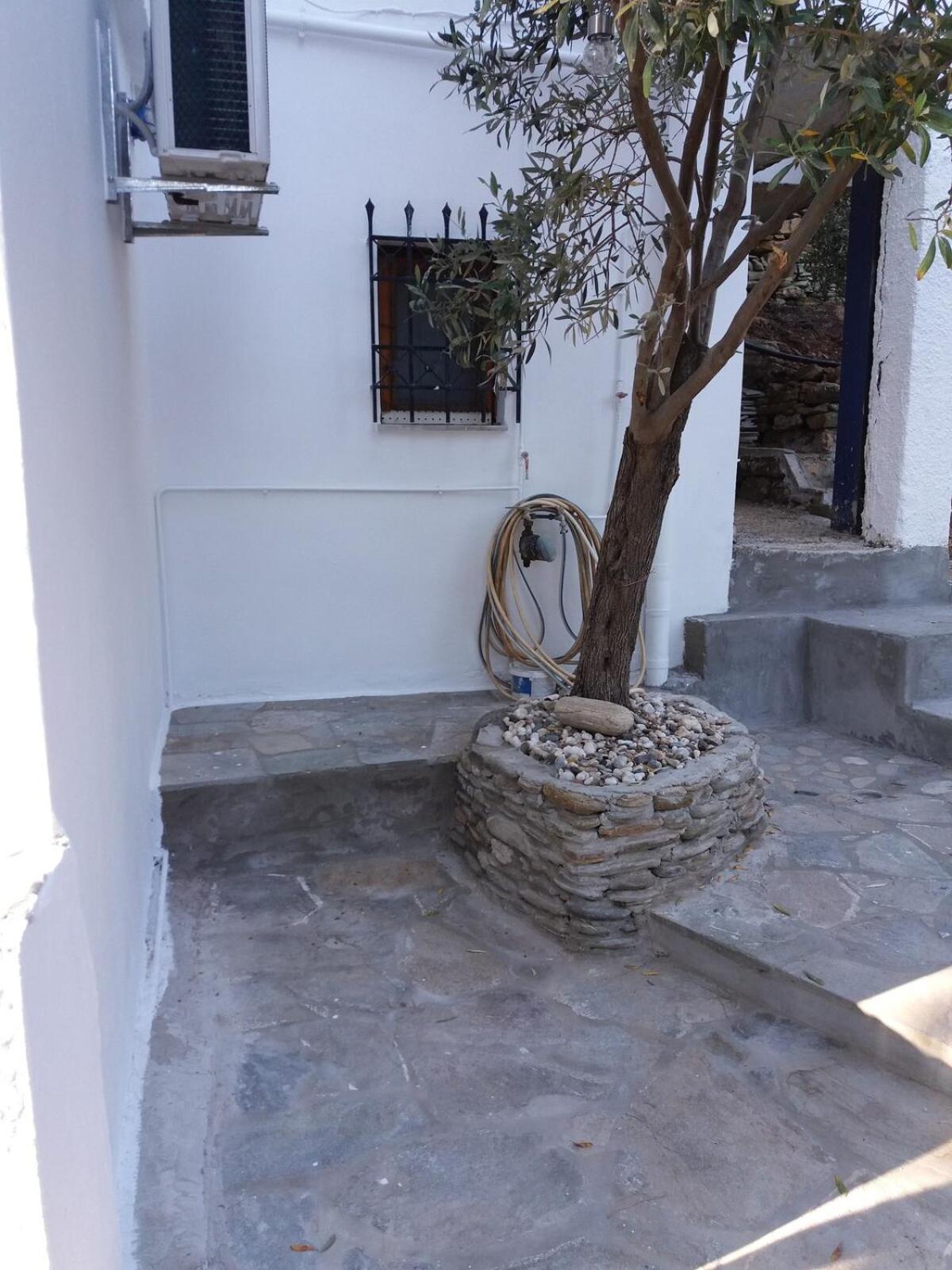 Grandpa Simos' Traditional Guest House Agios Romanos ภายนอก รูปภาพ