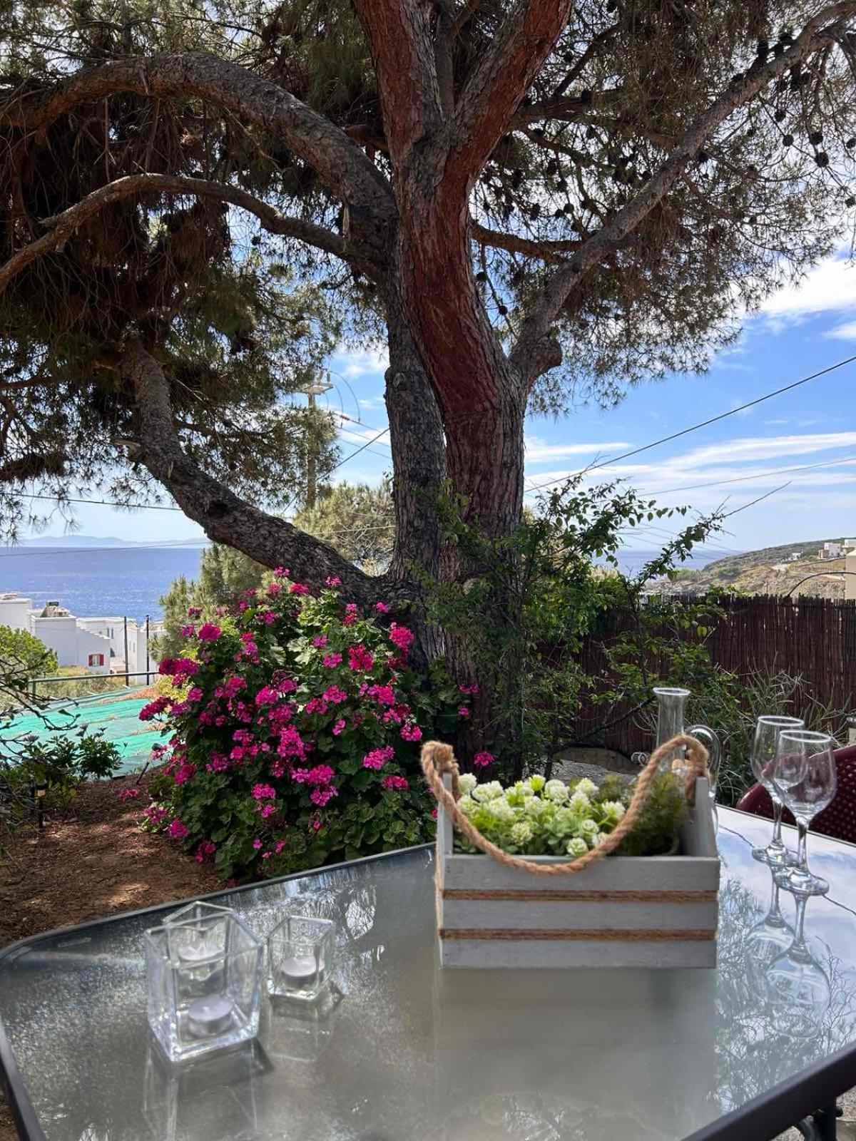 Grandpa Simos' Traditional Guest House Agios Romanos ภายนอก รูปภาพ