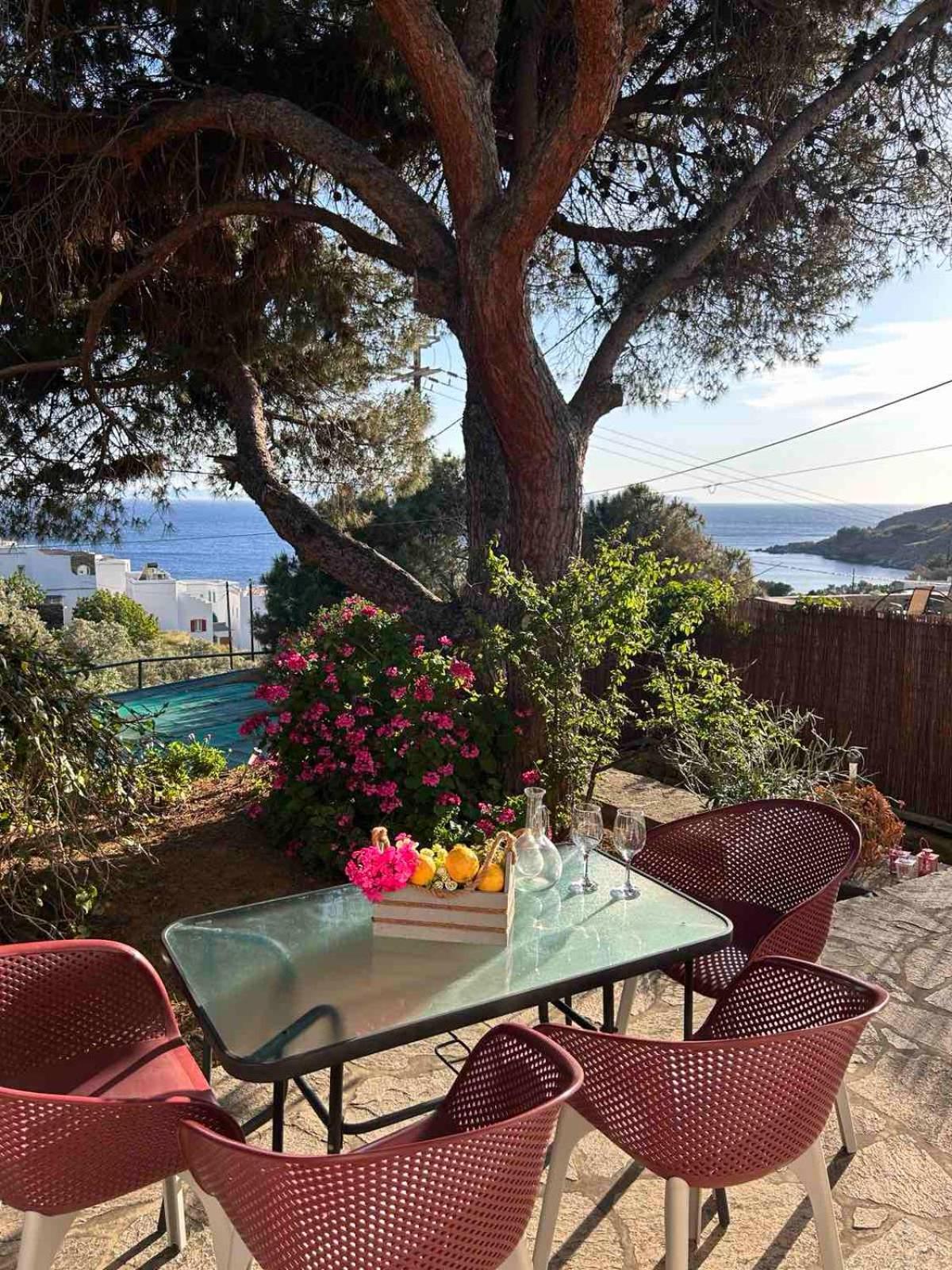 Grandpa Simos' Traditional Guest House Agios Romanos ภายนอก รูปภาพ