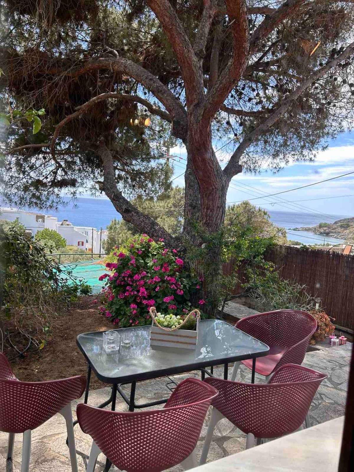 Grandpa Simos' Traditional Guest House Agios Romanos ภายนอก รูปภาพ